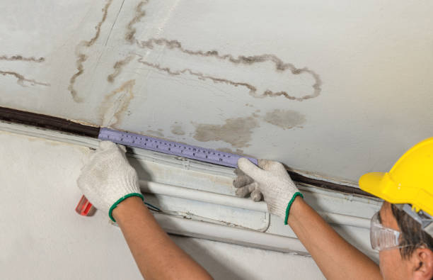Reliable Mold Remediation contractor in Dimock, SD by Water Damage Irwin